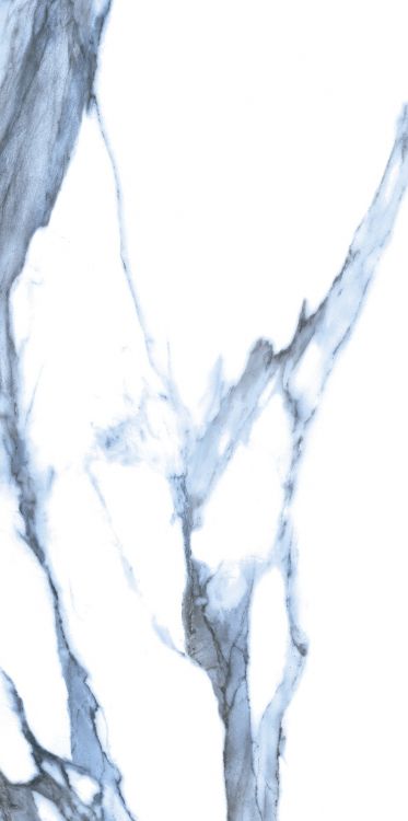 Calacatta Blue Matte 12 x 24